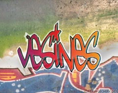 VESINES